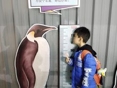 -大连圣亚海洋世界