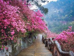 -木兰云雾山