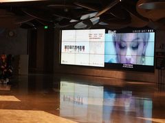 -百美汇影城(LUXE嘉里中心店)