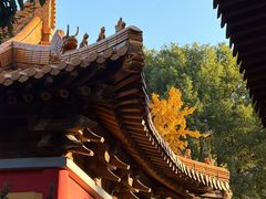 -方山风景区定林寺