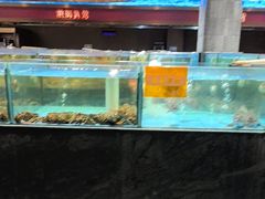 -国惠大酒楼(仓山万达店)