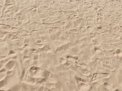 -日照海滨国家森林公园