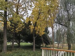-渭滨公园
