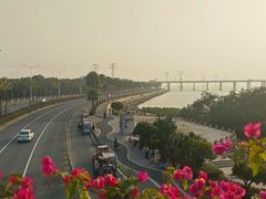 -宝安西湾红树林湿地公园