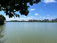 -鹤之洲湿地公园