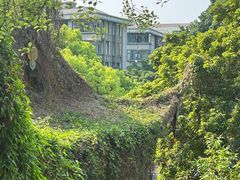 -乌山风景区