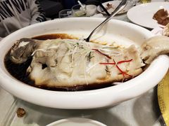 清蒸狮麟鳐鱼-金狮麟·新豫菜(金码大厦店)