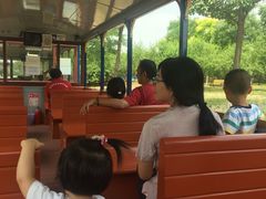 -永定河休闲森林公园