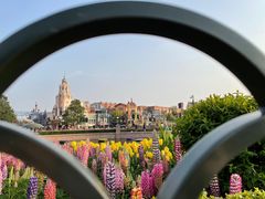 -上海迪士尼度假区