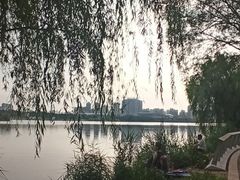 -灞河西岸滨河公园