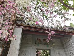 -深圳国际园林花卉博览园