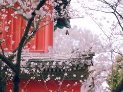-大觉寺-停车场
