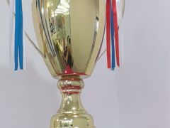 -天猫养车贴膜轻改·蓝电(优匹康桥东路店)