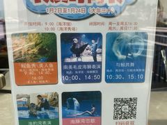 -芜湖新华联大白鲸海洋公园