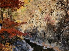 -关门山森林公园