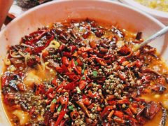 -新白鹿餐厅(百联中环店)