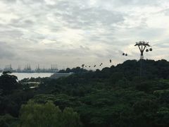 -圣淘沙天际线斜坡滑车