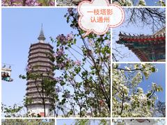 -西海子公园