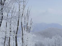 -中旅松花湖滑雪场