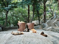 -崂山巨峰游览区