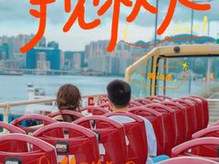 -Big Bus Tours 敞篷观光巴士