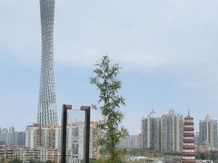 -小茶闲舍·观景商务茶馆(广州塔店)