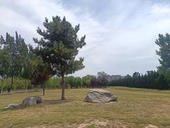 -汉长安城未央宫国家考古遗址公园