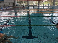 -深圳大学城（南区）体育中心-游泳馆