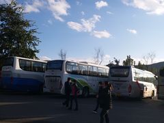 -世界恐龙谷景区