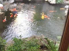 -鲤院·新中式美学·庭院餐厅(夫子庙店)