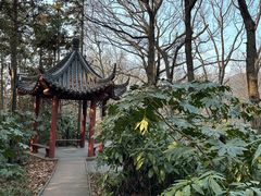 -句容茅山景区