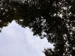 -罗泉古镇
