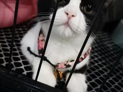 -SAH健身私教工作室(紫东店)