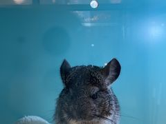 -FAIRYLAND龙族星球主题餐厅(凯丹广场店)