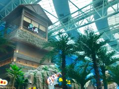 -青岛东方影都融创水世界