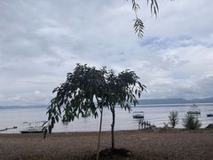-渔傅·霞浦滩涂海鲜(建平店)