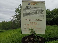 -北京张裕爱斐堡酒庄