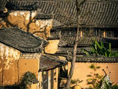 -杨家堂村