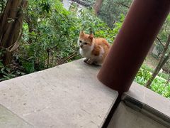 -秋霞圃