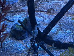 -上海海洋水族馆