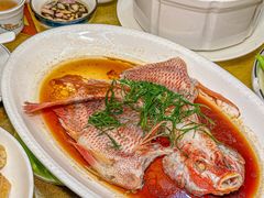 -东森家宴·惠州客家菜