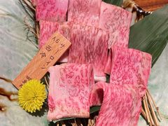 -多乐之日(颐堤港店)