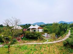 -帐篷客·溪龙茶谷度假酒店