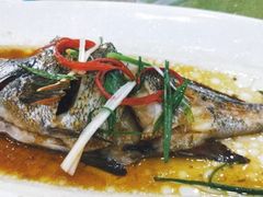 -胖大嫂渔家排档·全海景餐厅(渔村店)