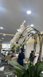 -重庆军科整形美容医院