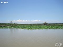 -大湾区中央湿地公园