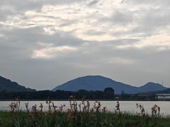 -风云岭森林公园
