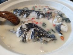 -老傅家湘潭水煮活鱼店(众一国际店)