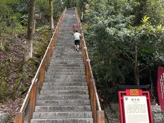 -云碧峰国家森林公园