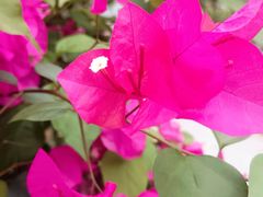 -KK ONE(京基滨河时代店)